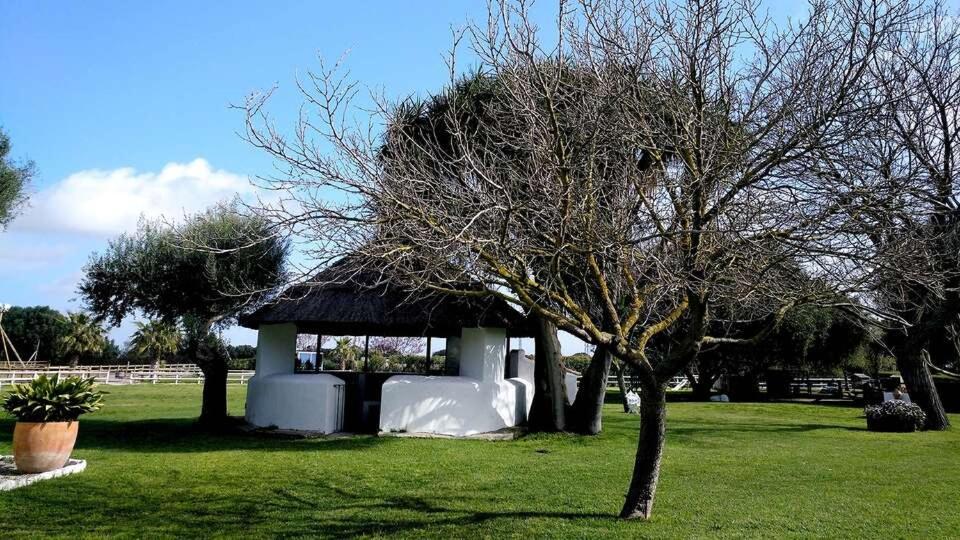 Hostal Cortijo El Indiviso Vejer de la Frontera Exterior foto